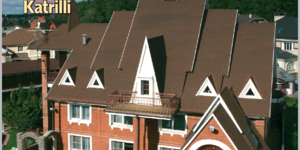 katrilli kora dereva.PNG