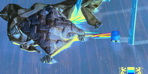 Террасная доска из ДПК Bamberg, Square, Lebanese Cedar21