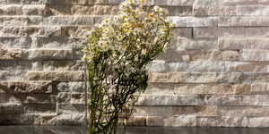 Кварцит Beige Quartz Classic