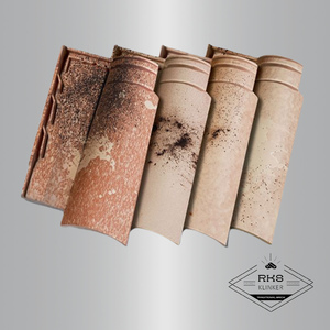 Керамическая черепица Koramic, Kanal 10, old ochre