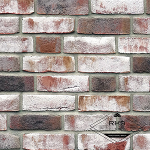 Кирпич ручной формовки Roben, GEESTBRAND grauweiss-bunt, 240х54х71 мм