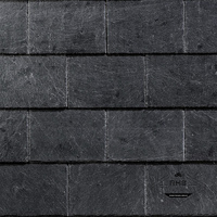 Сланец RKS SLATE Graphite 50х25