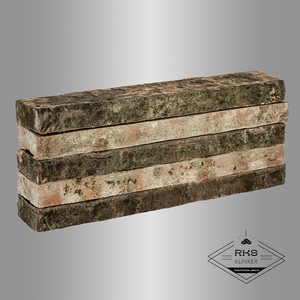 Кирпич полнотелый Тандем, Залесье, 485x85x40 мм