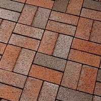 Брусчатка тротуарная клинкерная Gala Flamea, P403KDF