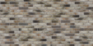 braerpro_14_04_belyi