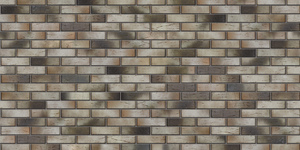 braerpro_14_04_seryi
