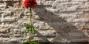 3D панели из натурального камня Кварцит Beige Quartz Classic от бренда  RKS SLATE кухонный фартук  из натурального камня фото (1)