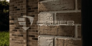 Кирпич облицовочный BRAER PRO 14.04 (2)