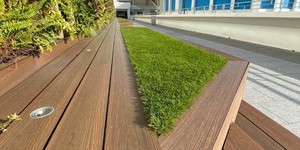 Террасная доска ДПК Turtle Shell Australian Palisander Co-Extrusion (благоустройство, скамейка из дпк) (4)