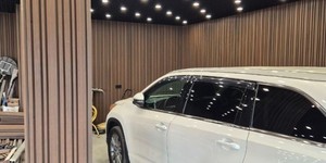Реечная панель Different Lines, Australian Palisander, Co-Extrusion стены в гараже рейкой разной ширины реальные фото (4)