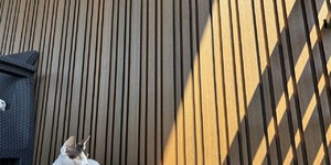 Реечная панель ДПК Turtle Shell Different Lines Australian Palisander Co-Extrusion рейки для стен фасада долговечный материал (1