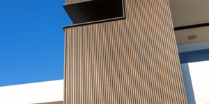 Реечная панель ДПК Turtle Shell, Middle Lines, Australian Palisander Co-Extrusion монтаж реечных панелей из дпк на фасад (4)