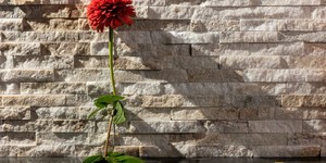 3D панели из натурального камня Кварцит Beige Quartz Classic от бренда  RKS SLATE кухонный фартук  из натурального камня фото (1)
