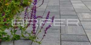 Тротуарная плитка Старый Город Ландхаус туман и вечер от БРАЕР - ТЦ Мега. Нижний Новгород (6)